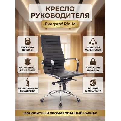 ������ ������������ Everprof Rio � ����