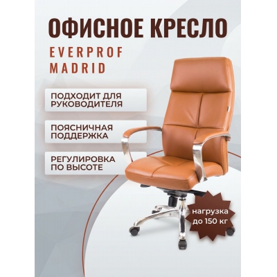 ������ ������������ Everprof Madrid �������