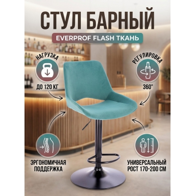 ���� ������ Everprof Flash �����