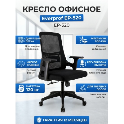 ������ ������� Everprof EP-520 �����