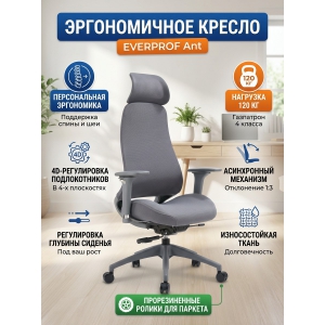 ������������ ������ Everprof Ant �����