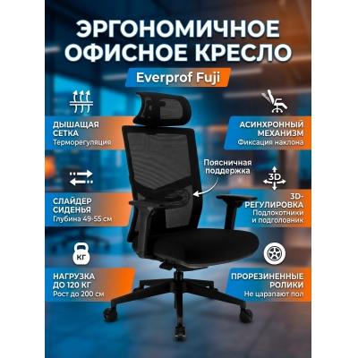 ������������ ������ Everprof Fuji �����